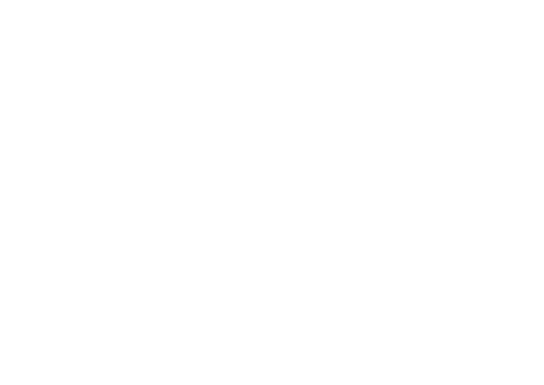 Bacigaluppi Hnos S.A